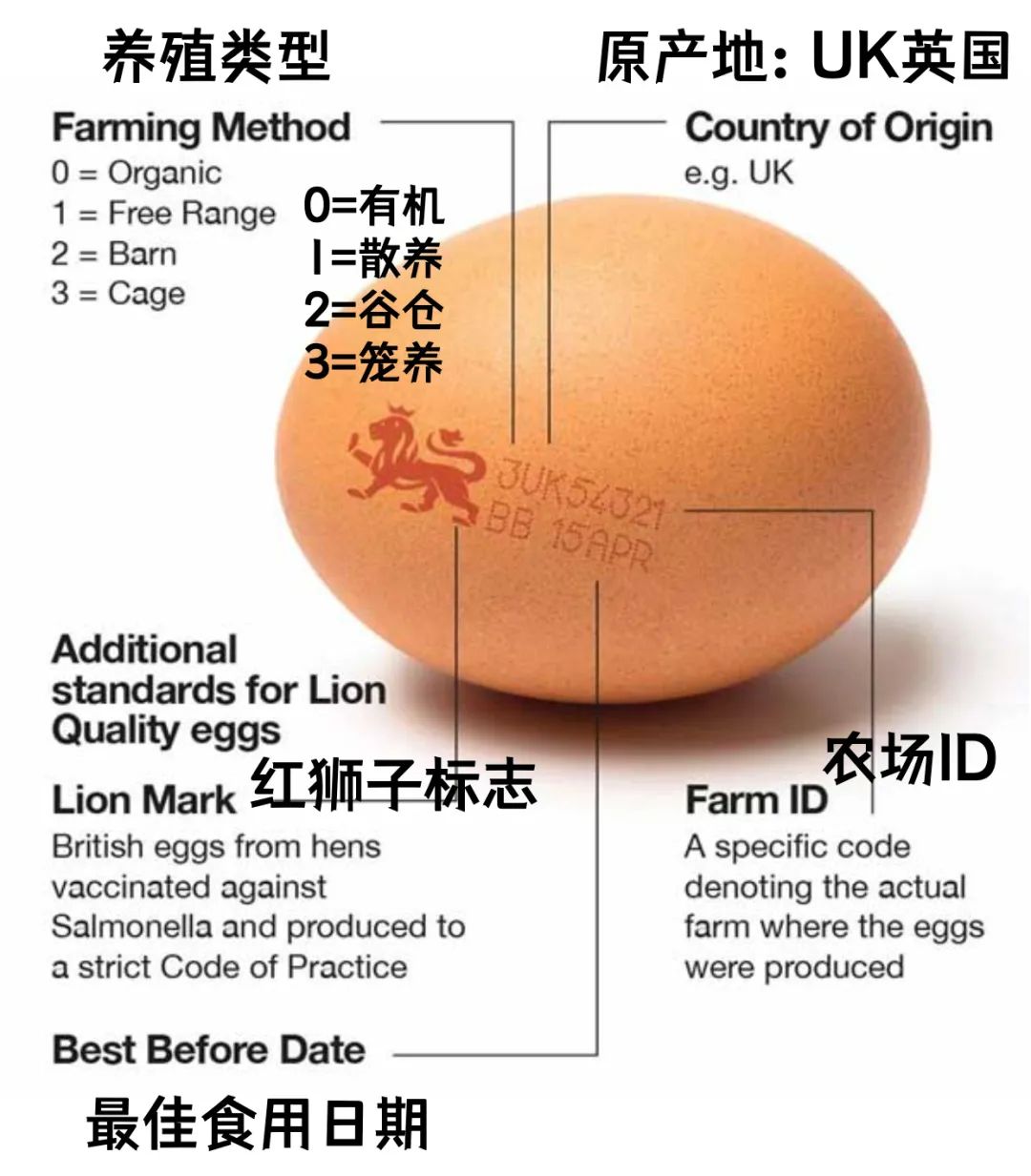 在英国挑鸡蛋可是一门学问：日常选蛋妙招大科普！